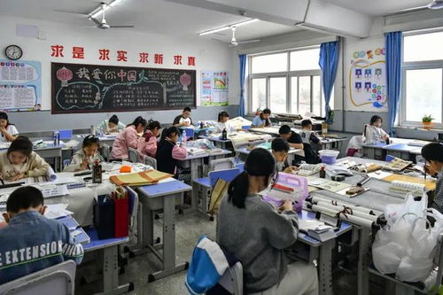 曹妃甸公布義務(wù)教育階段學(xué)校招生入學(xué)政策
