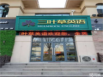 淄博三葉草教育咨詢